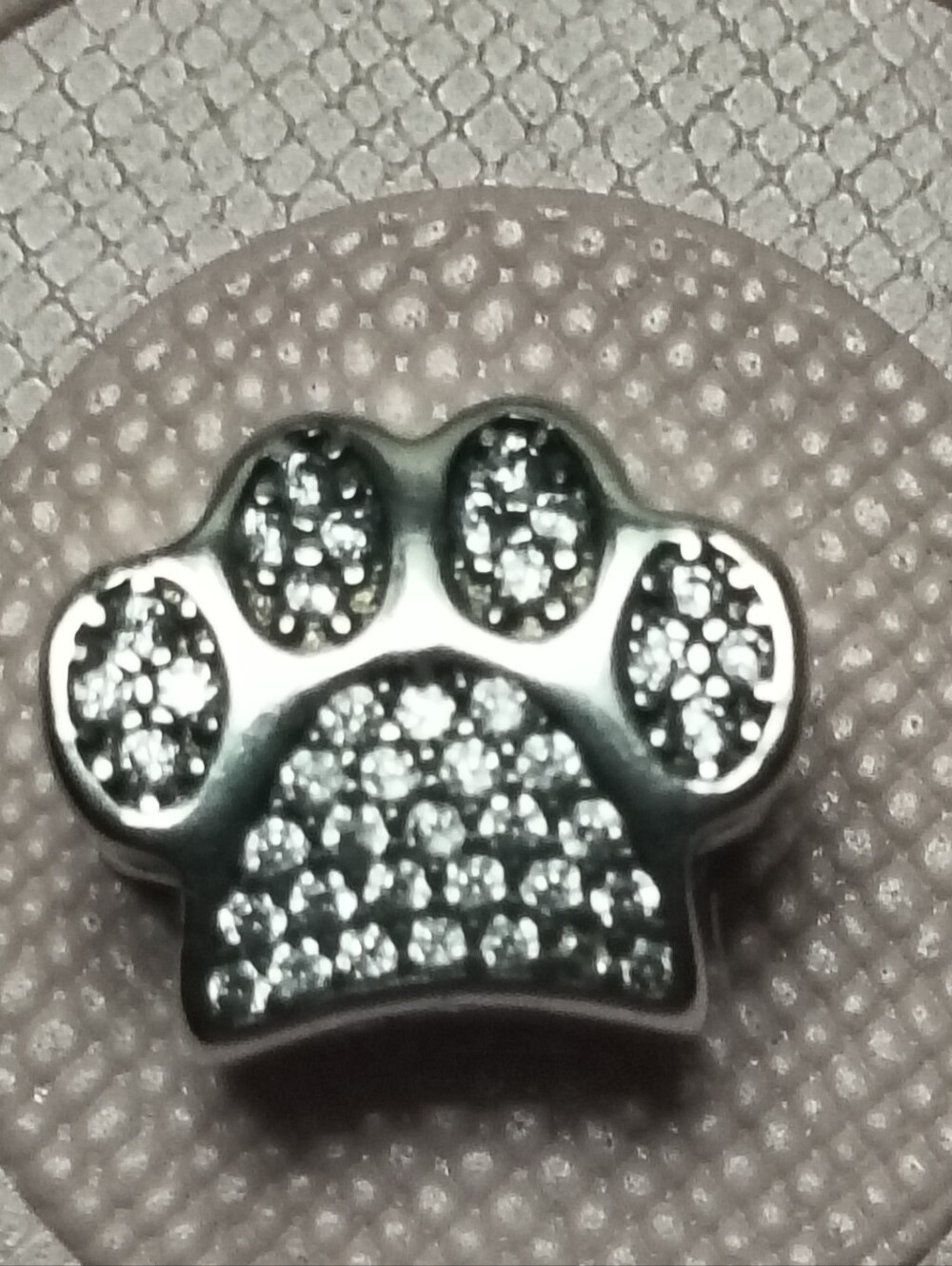 Pandora Paw Print 🐾